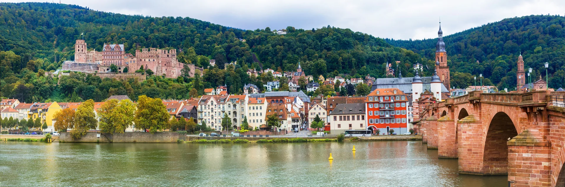 schneider-immobilien-heidelberg-panorama-am-neckar Heidelberg-Panorama am Neckar